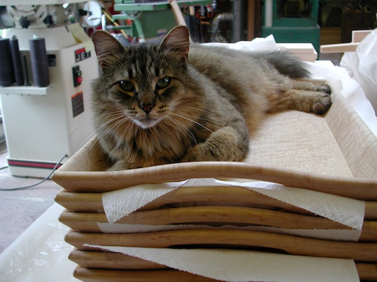 Willow on Her Bed of Trays